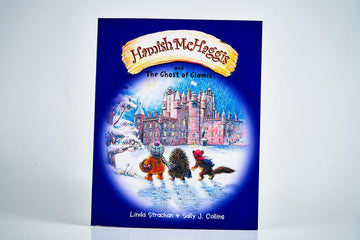 Hamish McHaggis and the Ghost of Glamis, Children's Book